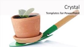  Presentation with drug pot session - Presentation theme having germ at pot and scapula background and a  colored foreground