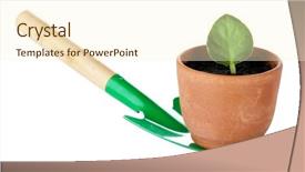  Presentation with fresh water splash green apple isolated white - Cool new PPT theme with germ at pot and scapula backdrop and a cream colored foreground