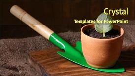  Presentation with sports table tennis two ping - Amazing theme having germ at pot and scapula backdrop and a  colored foreground