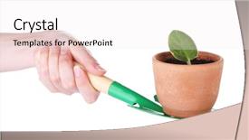  Presentation with surgical hand wash - PPT layouts consisting of germ at pot and scapula background and a  colored foreground