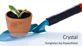  Presentation with history earth globe isolated white - Cool new presentation theme with germ at pot and scapula backdrop and a  colored foreground