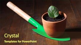  Presentation with wooden - Theme enhanced with germ at pot and scapula background and a tawny brown colored foreground