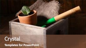  Presentation with wooden - PPT layouts with germ at pot and scapula background and a  colored foreground