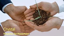  Presentation with tree - Presentation design featuring germ-of-a-tree background and a coral colored foreground