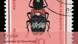  Presentation with issue - 