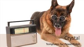  Presentation with radio - Audience pleasing presentation consisting of german shepard - funny cute dog with radio backdrop and a coral colored foreground