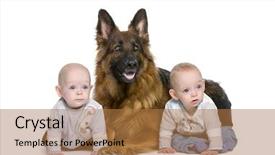  Presentation with evaluation of 5 years old boy - Colorful slide deck enhanced with insect - queen butterfly danaus gilippus backdrop and a gray colored foreground