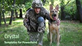  Presentation with german - Cool new presentation theme with german shepherd dog in forest backdrop and a ocean colored foreground