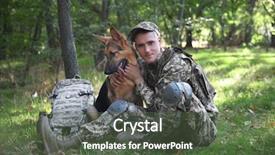  Presentation with german - Presentation theme having german shepherd dog in forest background and a tawny brown colored foreground