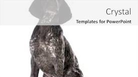  Presentation with pointer - Beautiful presentation design featuring german shorthair pointer puppy sitting isolated on white background backdrop and a white colored foreground