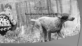  Presentation with german shorthaired pointer - Beautiful slide set featuring german shorthaired pointer and her owner playing by the water's edig backdrop and a light gray colored foreground