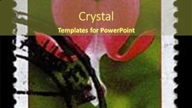  Presentation with venus - 