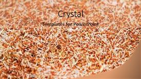  Presentation with cereal grains - Presentation having germinated millet seed sprout background and a coral colored foreground
