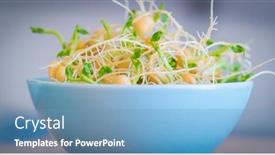  Presentation with seeds - Slide set featuring germinated-seeds-for-salad-seeds background and a teal colored foreground