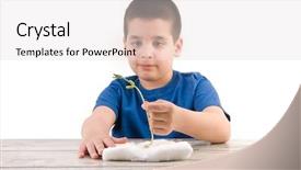  Presentation with plant cotton - Beautiful slide deck featuring germination bean seeds - plant cultivation on cotton backdrop and a lemonade colored foreground