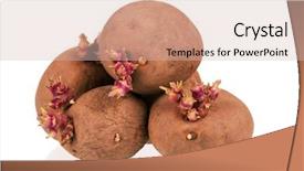  Presentation with seed germination - Beautiful presentation design featuring germination seed - old potatoes with sprouts isolated backdrop and a soft green colored foreground