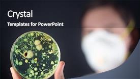  Presentation with germs - Presentation theme enhanced with germs hospitals - examining bacteria in a petri background and a wine colored foreground
