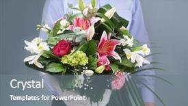  Presentation with gratitude - Amazing presentation theme having gesture gratitude - businessman holding and giving backdrop and a gray colored foreground