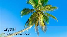  Presentation with paradise - Theme having getaway paradise view background and a light blue colored foreground