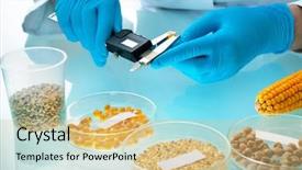  Presentation with testing - Slide set consisting of getetica - researcher analyzing agricultural grains background and a soft green colored foreground