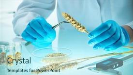  Presentation with testing - Beautiful slide deck featuring getetica - researcher analyzing agricultural grains backdrop and a cool aqua colored foreground