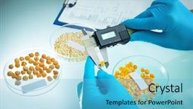  Presentation with grains - Colorful slide set enhanced with getetica - researcher analyzing agricultural grains backdrop and a light blue colored foreground