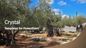  Presentation with gethsemane - Presentation consisting of gethsemane at the foot background and a tawny brown colored foreground