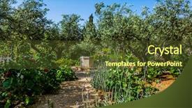  Presentation with gethsemane - Slide set featuring gethsemane in ancient jerusalem background and a tawny brown colored foreground