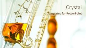  Presentation with essential oil - PPT theme with getting-essential-oil-from-natural background and a soft green colored foreground