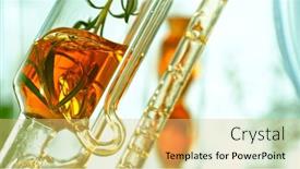  Presentation with essential oil - Slide deck having getting-essential-oil-from-natural background and a yellow colored foreground