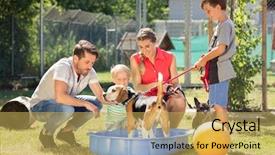  Presentation with animal shelter - Amazing presentation having  backdrop and a  colored foreground