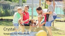  Presentation with animal shelter - Audience pleasing presentation theme consisting of dog from animal shelter backdrop and a lemonade colored foreground