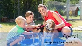  Presentation with animal shelter - Beautiful presentation design featuring pool of animal shelter backdrop and a teal colored foreground