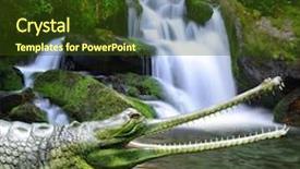  Presentation with crocodile - Beautiful PPT theme featuring gharial also known as the gavial and the fish-eating crocodile backdrop and a tawny brown colored foreground