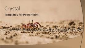  Presentation with ghost - Cool new theme with ghost-crab-crawling backdrop and a lemonade colored foreground