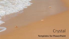  Presentation with crabs - Slide set having ghost-crabs-ocypode-spp background and a coral colored foreground