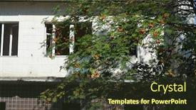  Presentation with ghost - Theme featuring ghost-town-in-eastern-europe background and a tawny brown colored foreground