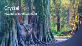  Presentation with cedar - Cool new presentation theme with giant cedar forest backdrop and a ocean colored foreground