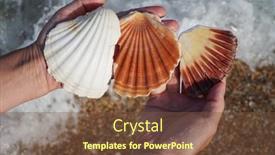  Presentation with clam - Slides having giant-clam-shells-in-hand background and a tawny brown colored foreground