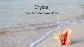  Presentation with footprints and sand beach - Cool new presentation design with giant conch shell on tropical backdrop and a light gray colored foreground