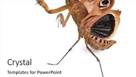  Presentation with old man and music - Colorful PPT theme enhanced with giant dead leaf mantis deroplatys backdrop and a white colored foreground