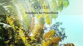  Presentation with hawaii - Theme enhanced with giant-fern-leaf-in-rain background and a mint green colored foreground