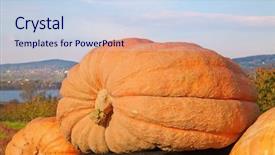  Presentation with winner announcement in airtel sales contest - PPT theme featuring food prizes - giant over 500 kg pumpkin background and a sky blue colored foreground