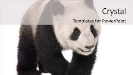  Presentation with giant sequoia and the generals - PPT theme enhanced with giant panda 18 months - ailuropoda background and a  colored foreground