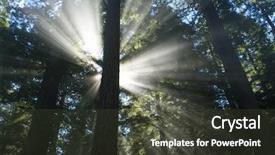  Presentation with light rays - Theme featuring giant sequoia - beautiful light rays blasting background and a dark gray colored foreground