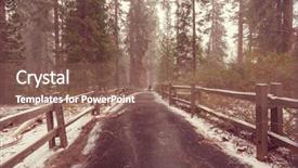  Presentation with giant trees - Presentation theme with giant sequoia trees forest covered background and a violet colored foreground