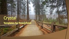  Presentation with national - Beautiful theme featuring giant tree - sequoia national park in usa backdrop and a tawny brown colored foreground