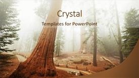  Presentation with shenandoah national park big meadows - Amazing presentation design having giant tree - sequoia national park in usa backdrop and a cream colored foreground