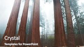 Presentation with shenandoah national park big meadows - PPT layouts enhanced with giant tree - sequoia national park in usa background and a tawny brown colored foreground