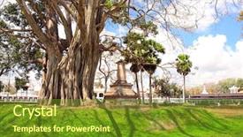  Presentation with anuradhapura - Amazing presentation having giant tree and ancient stone backdrop and a tawny brown colored foreground